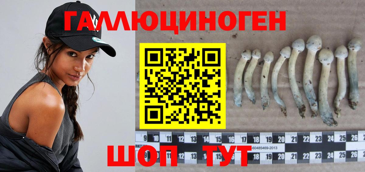 Псилоцибиновые грибы Cubensis  Вход с VPN  Псилоцибиновые грибы MAGIC MUSHROOMS  Алатырь 