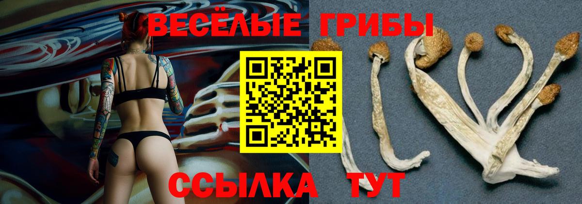 Псилоцибиновые грибы GOLDEN TEACHER Алатырь